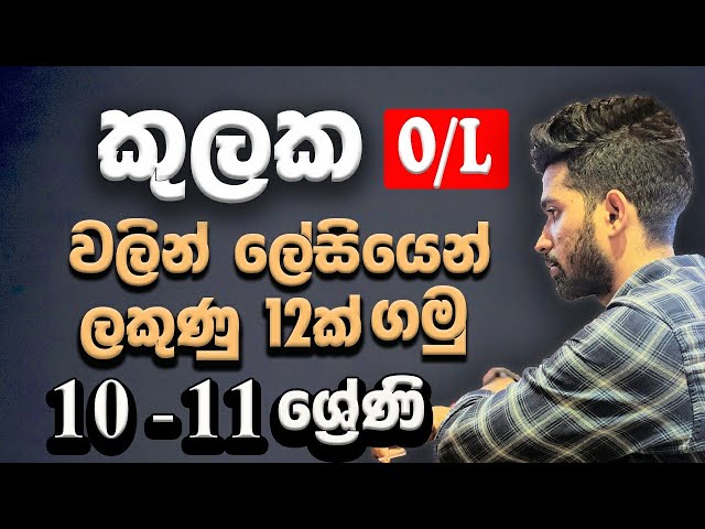 Sets in Sinhala | kulaka | කුලක | O/L & Grade 10-11 maths | Questions with theory | Siyomaths 🇱🇰