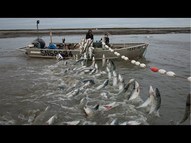 Automatic Long Net Fishing And Traditional Marine Nets. The best Fishing Fisherman