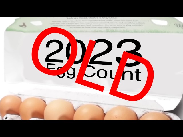 HowToBasic 2023 EGG COUNT (OLD; READ DESCRIPTION)