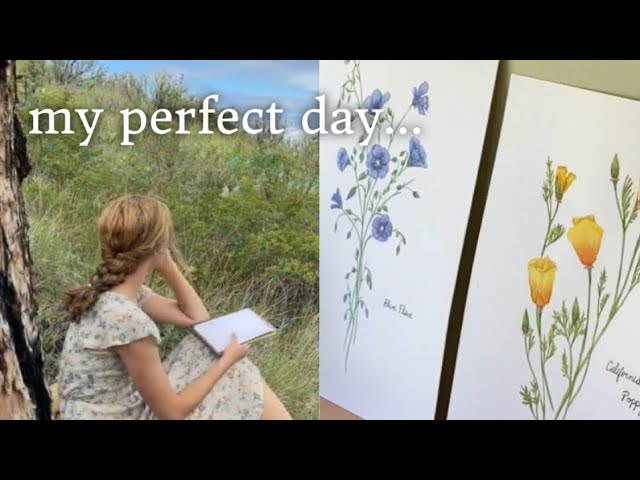 A Cup of Tea and Flower Painting - a hillside walk
