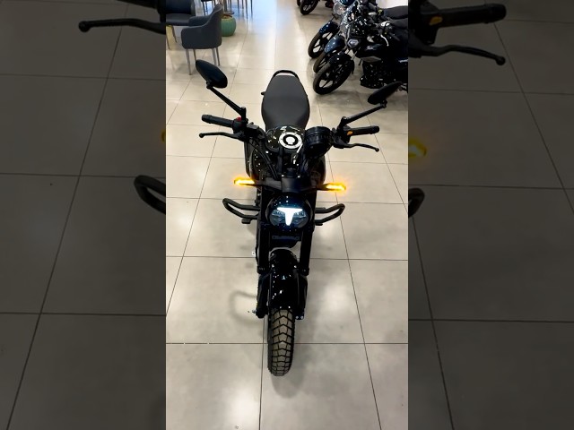 TVS Ronin 225 All Black 🔥 | Black Edition Look | Mileage, Features | @MrREDwheels