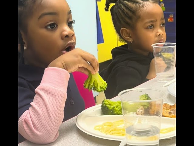 ✏️ Discover Joyful Learning: H.E.S. Early Childhood 3K & Pre-K Programs - Enroll Now!  🍎