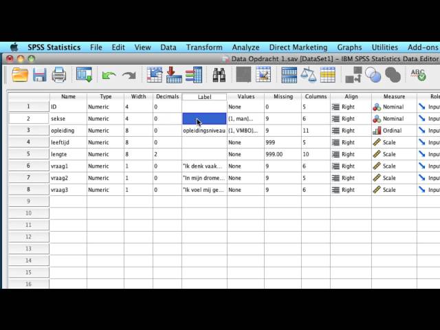 SPSS: Data View and Variable View