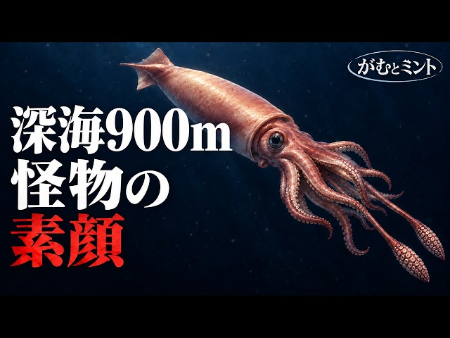 Full Video High-Quality Version