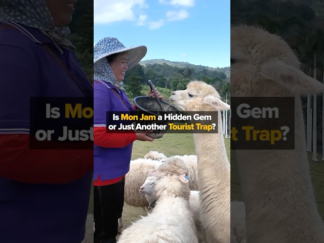 Is Mon Jam a Hidden Gem or Just Another Tourist Trap 🤔