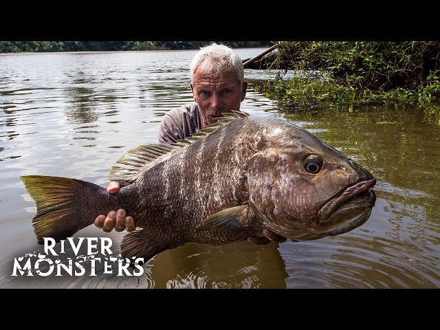 The BIGGEST FISH caught in Season 9 of River Monsters