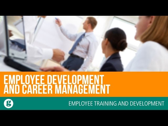 Employee Development and Career Management