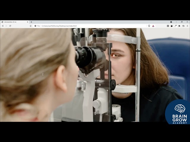 #The #FrontEnd #Web #Developer #Bootcamp #HTML #CSS #JS #React - #Basics #Properties #of #css 3