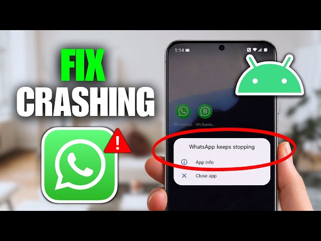 How To Fix WhatsApp Keeps Crashing On Android Phone