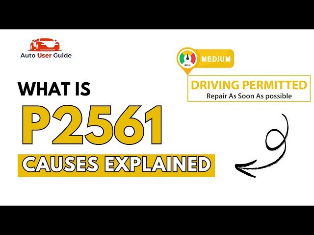 What is P2561: Engine Error Code Causes Explained
