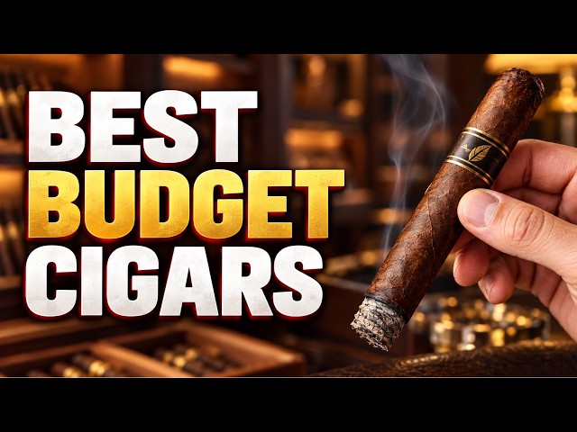 Top 12 Cigars to Smoke on a Budget
