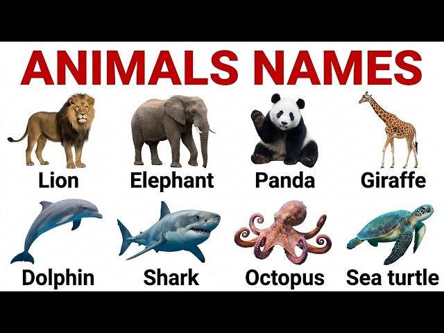 Learn 50+ Animal Names in English: Wild, Farm & Sea Creatures (Visual Vocabulary)