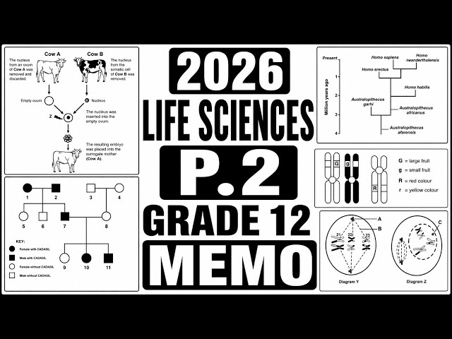 2026 memo life sciences paper 2 grade 12  may june exams 2026 life sciences paper 2 grade 12 june