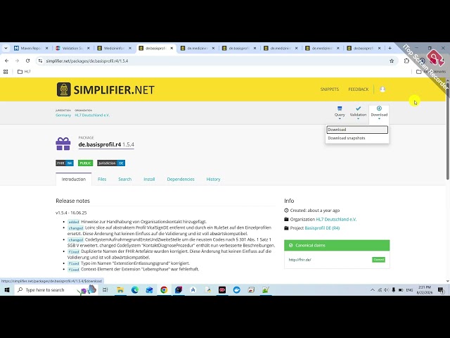 Validating MII & German Basisprofil FHIR Resources in Java (HAPI FHIR)