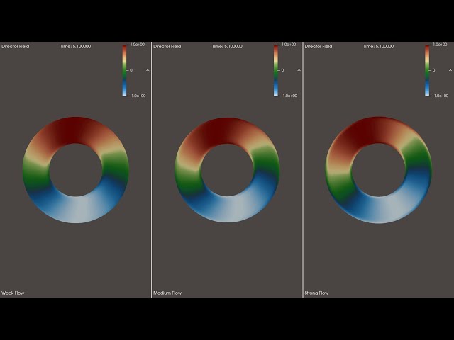 Nematic Liquid Crystal Molecule Alignment in Shear Flow -  Simulation