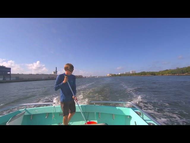 V1000639 VR Fishing!