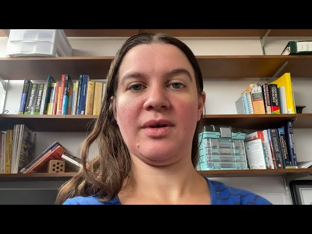 Selection Sort: Python Code