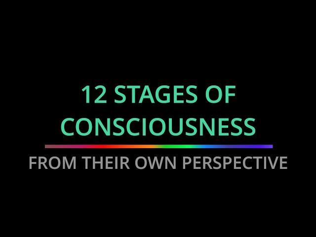 All 12 Stages of Consciousness __ Under 10 Minutes