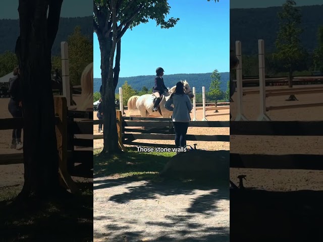 Made it to Upperville! #horse #equestrianjourney #equestrian #vlog #history #virginia #explore