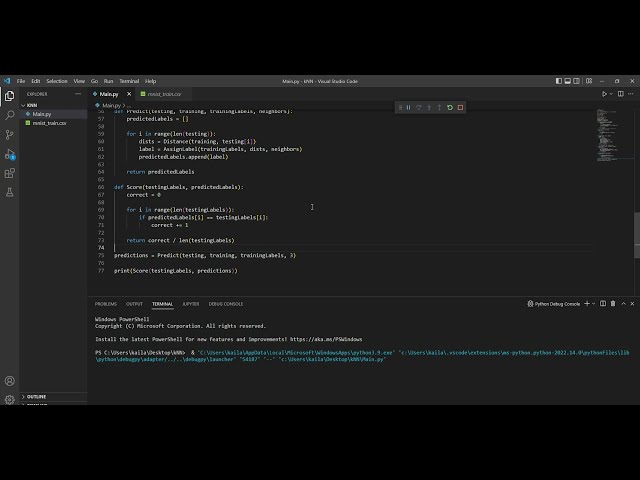 kNN AI Made Without Libraries
