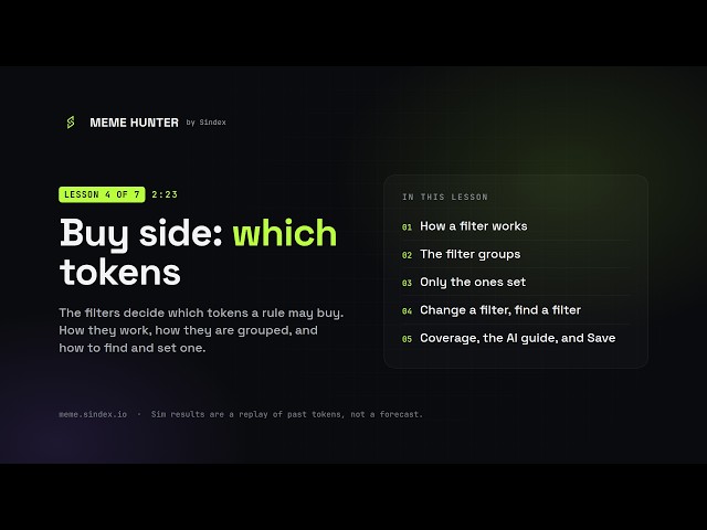 Memecoin Filters Explained: Holders, Whales, Dev & Rug Checks | Meme Hunter Tutorial 4