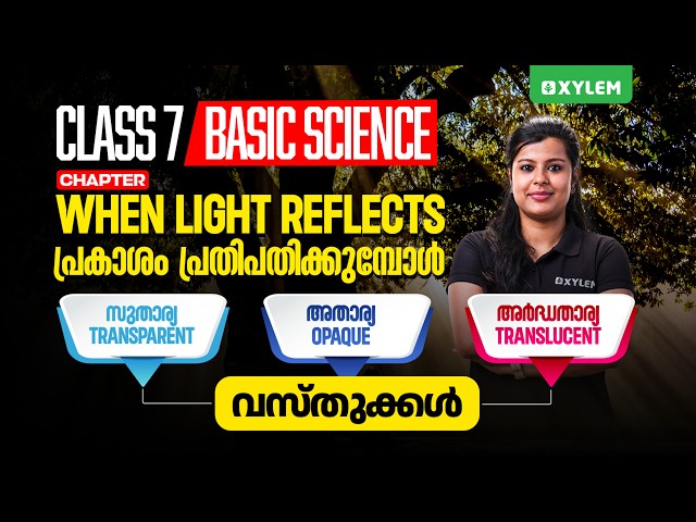 Class 7 Basic Science : Chapter - When Light Reflects : When Light Reflects | Xylem Class 7