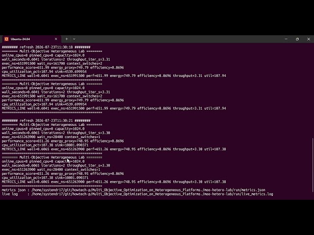 Multi Objective Optimization on Heterogeneous Platforms