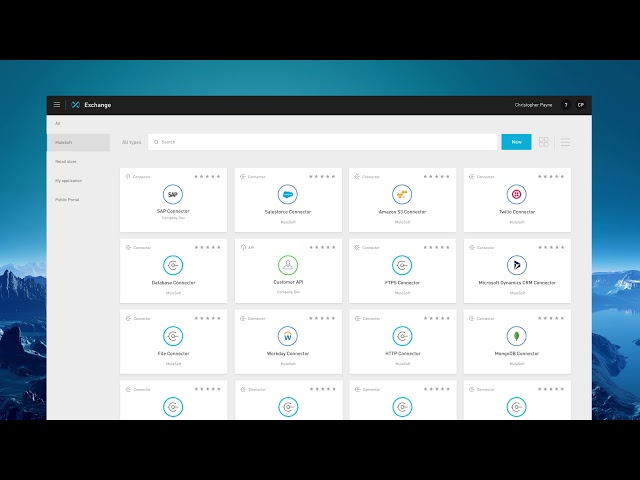 Anypoint Platform
