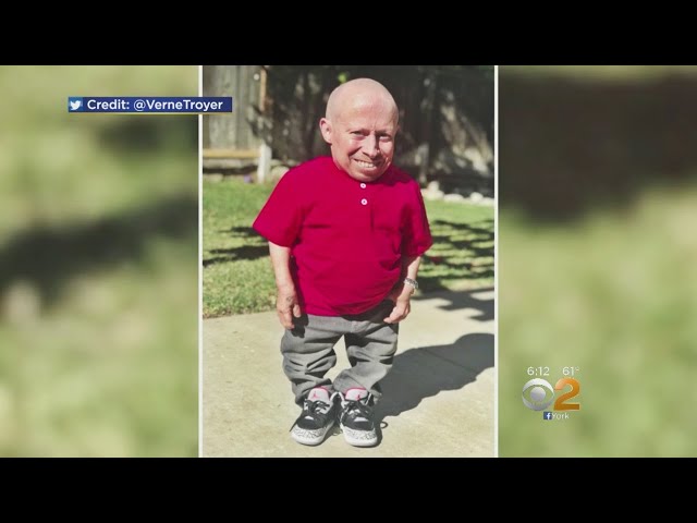 Actor Verne Troyer Dead At 49