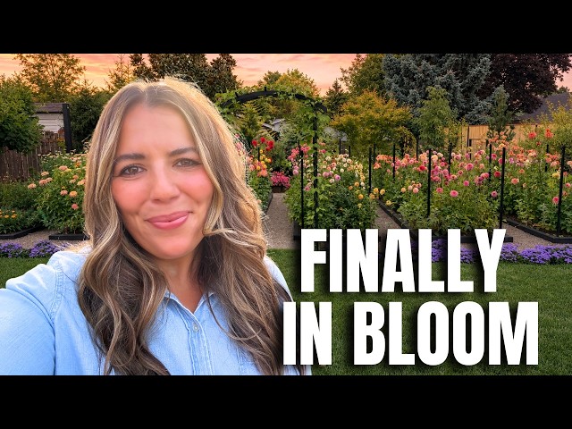 The Cut Flower Garden Tour You've Been Waiting For 🌿
