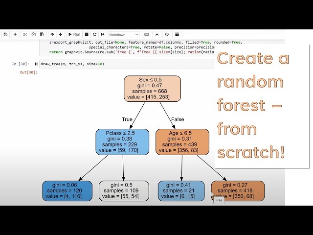 Lesson 6: Practical Deep Learning for Coders 2022