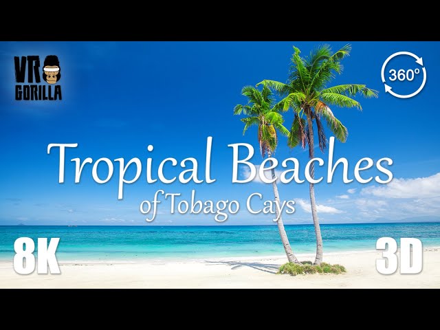 Tropical Caribbean Beaches of Tobago Cays in VR (Teaser) - 8K 360 3D Video