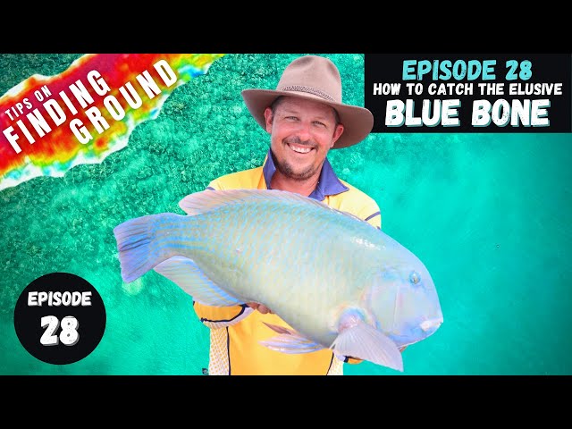 HOW TO CATCH THE ELUSIVE BLUE BONE | Finding GROUND - Ep 28