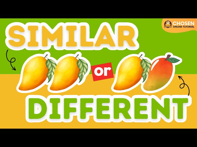 The English Quiz Show | Similar or Different | Visual Discrimination | Hand Eye Coordination