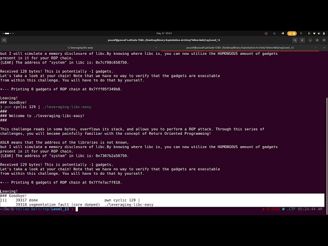 Binary Exploitation - pwn.college - Leaky Libc -  [Raw & Silent] [Part 1]