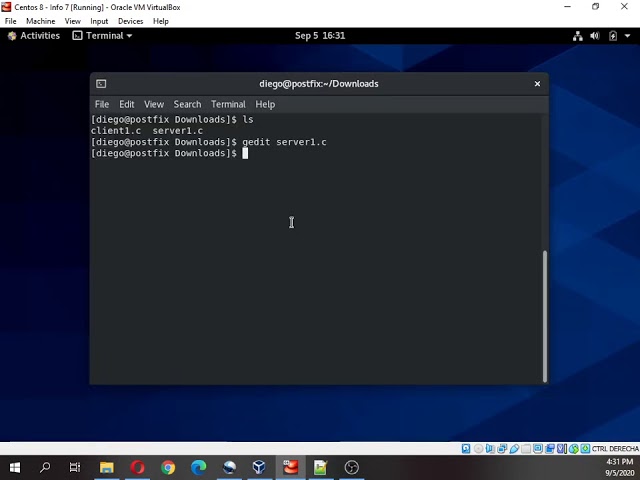 Progamas Ejemplo Sockets en C en Linux   Cliente Servidor