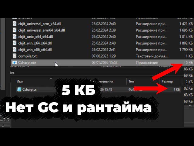 Я создал самый маленький c# бинарь