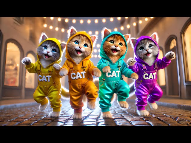 😻FUNNY CAT DANCE VIDEO 😍😻#funny #viralvideo #funnycats #catlover #cute #cutecat #catdance #dance