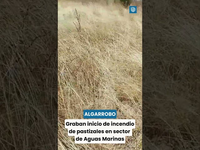 Algarrobo: Fire starts in the Aguas Marinas sector, filmed