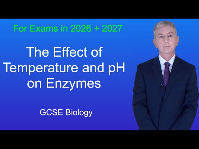 GCSE Biology Revision "Effect of Temperature and pH on Enzymes"
