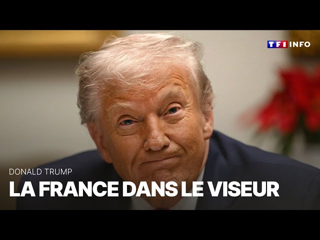 Donald Trump, la France dans le viseur｜TF1 INFO
