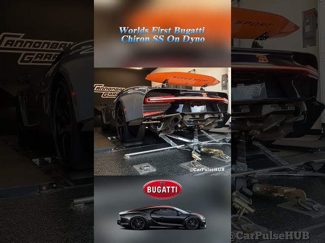 WORLD'S FIRST Bugatti Chiron SS on DYNO | @TheHamiltonCollection #bugatti #chironsupersport