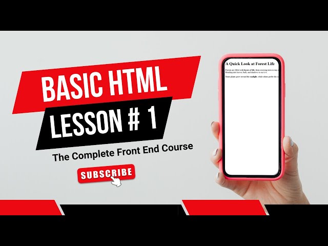 Frontend Lesson # 1: Basics of HTML