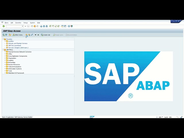 8 Implement get entity method for SAP OData Services