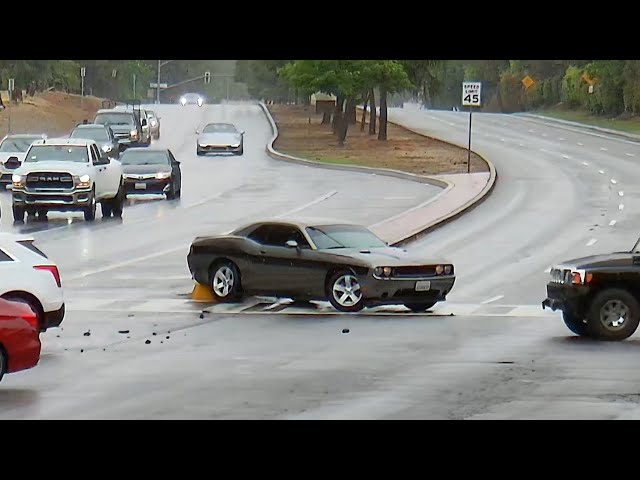 Crashes, Close Calls & The Wild Life