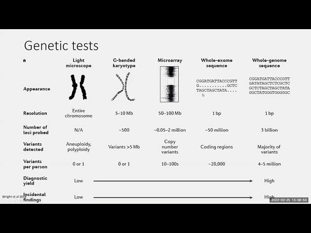 Genetics 101 and Developmental Disabilities