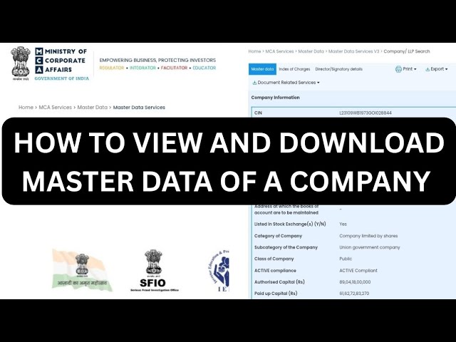 HOW TO VIEW AND DOWNLOAD MASTER DATA OF A COMPANY 