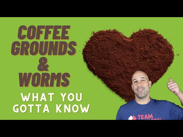 Coffee & Compost: The Truth About Coffee Grounds in the Worm Bin