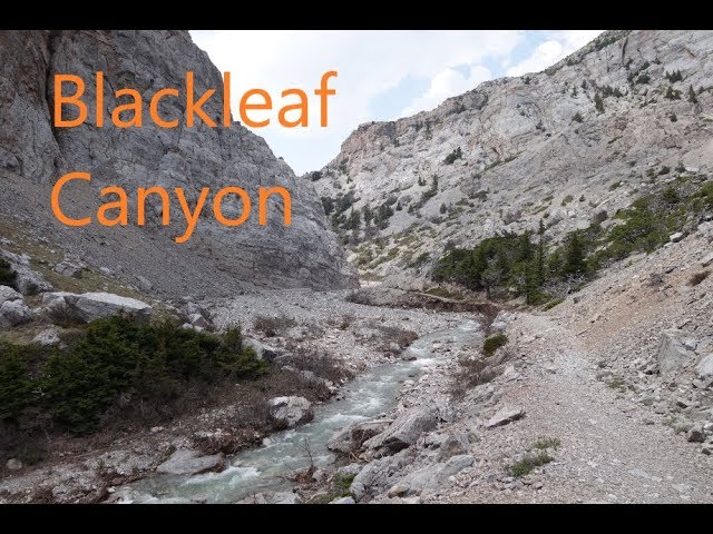 Blackleaf Canyon; Solo Backpacking Overnight Trip