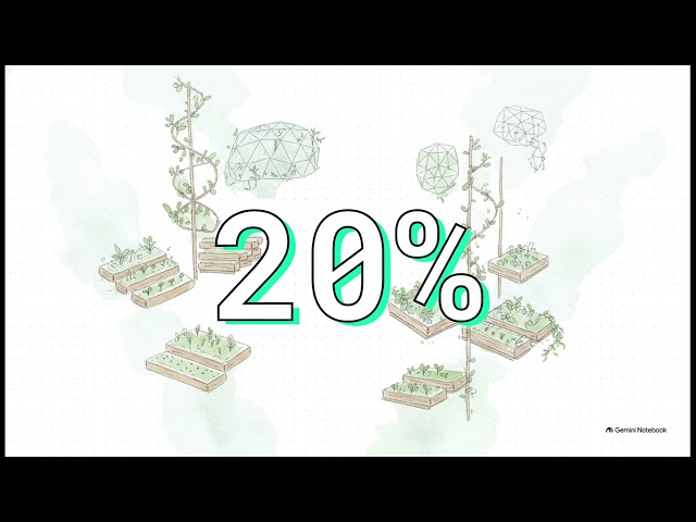 Pattern Understanding   Pattern Design for Specific Garden Beds #24